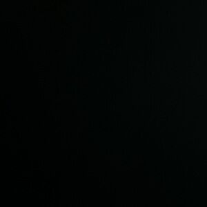 Meet your Posher, Leo